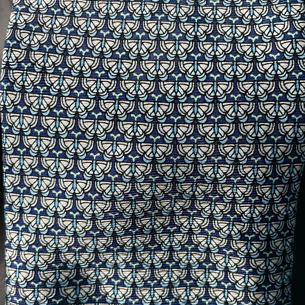 Pierre Cardin Mens Tie  🦋